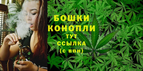 не бодяженный Осинники