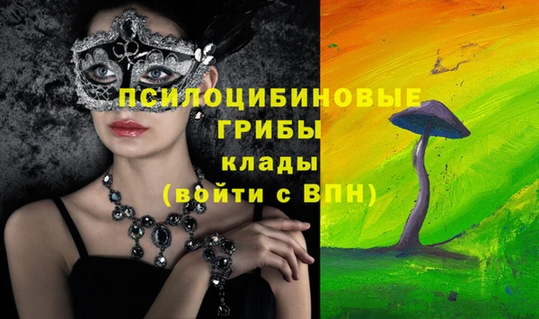 мяу мяу мука Баксан