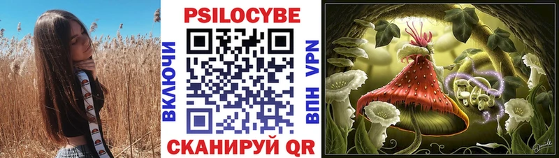 Псилоцибиновые грибы мицелий  где продают   Лакинск 